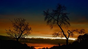 Bäume, Kurven, Umrisse, Zweige, Sonnenuntergang, Orange, Höhe, Himmel, Wolken, Dämmerung, Abend