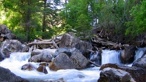 trees, forest, logs, dam, river, stones - wallpapers, picture