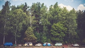 alberi, bosco, furgoni, campeggio