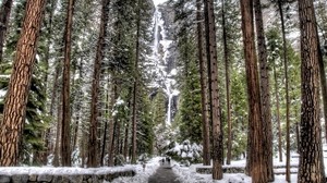 trees, forest, rocks, waterfall, snow