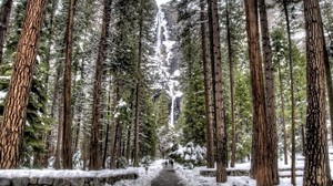 árboles, bosque, rocas, cascada, nieve