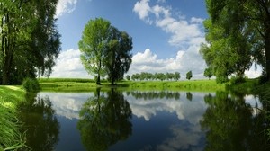 trees, summer, river, grass - wallpapers, picture