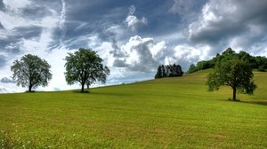 trees, summer, grass, sky, clouds, aerial