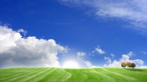 trees, meadows, sky, clouds, day - wallpapers, picture