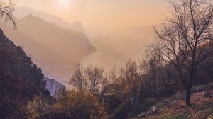 trees, sea, mountains, fog