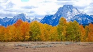 árboles, otoño, montañas