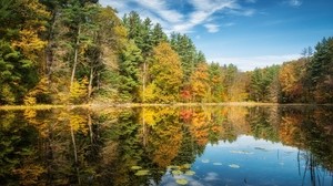 trees, autumn, summer, river - wallpapers, picture