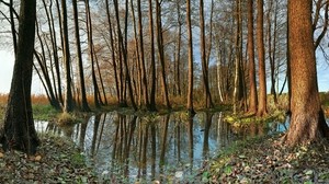 trees, autumn, reflection - wallpapers, picture
