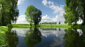 alberi, lago, estate, verde