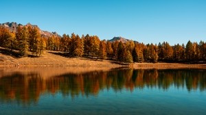 puut, järvi, syksy, kaunis syksyinen maisema, heijastus