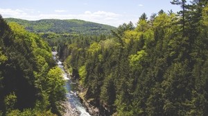 trees, stream, river, mountain - wallpapers, picture