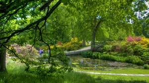 trees, garden, pond, people, green, serenity