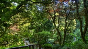 trees, garden, steps, railing, shadow, green
