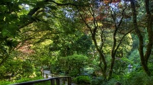 alberi, giardino, gradini, ringhiera, ombra, verde