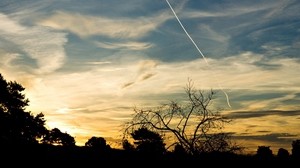 trees, silhouettes, twilight, evening, sky, plane, traces - wallpapers, picture