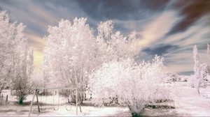 trees, snow, winter, hoarfrost, swing, park - wallpapers, picture