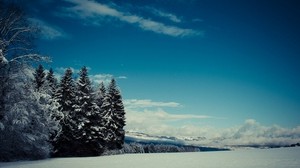 trees, snow, winter, glade, height, mountains, gloomy