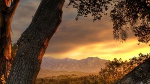trees, trunks, sunset, evening, sky, mountains - wallpapers, picture
