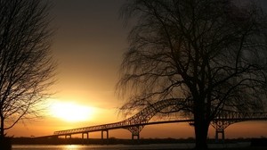 trees, dusk, bridge, interesting place, outlines