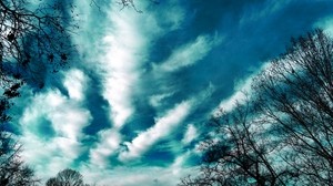 árboles, tarde, cielo, nubes