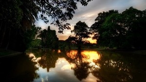 trees, evening, lake, reflection, dusk, summer
