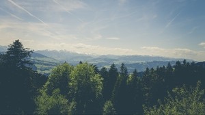 trees, peaks, mountains - wallpapers, picture