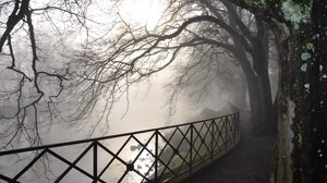 trees, branches, the fence, fog, autumn, gloomy, bark, damp
