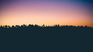 trees, sunset, horizon - wallpapers, picture