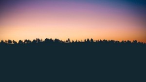 trees, sunset, horizon