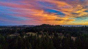 trees, sunset, mountains