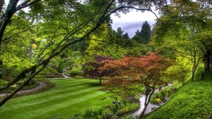 árboles, verde, césped, jardín, camino, arriba, rayas