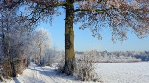 trees, winter, road, field, arable land, traces, hoarfrost, frost, shadows, sky, clear