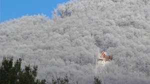 trees, winter, snow, house, light