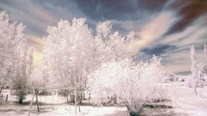 trees, winter, snow, sky, swing, hoarfrost - wallpaper, background, image
