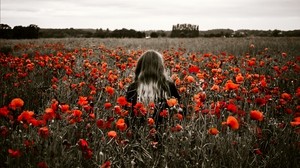 girl, field, Maki, flowers