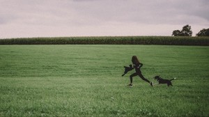 ragazza, cane, passeggiata, campo