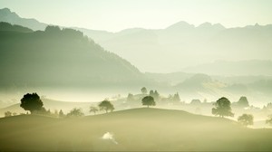 valle, niebla, árboles, montañas