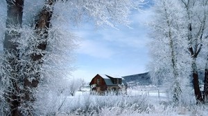house, trees, hoarfrost - wallpapers, picture