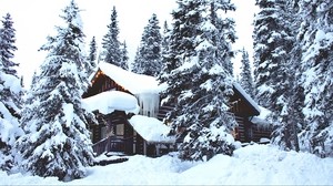 hus, skog, vinter, snö