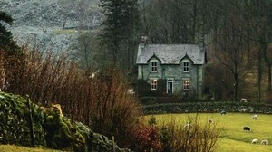 house, fog, grass, landscape, village - wallpapers, picture