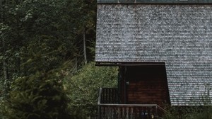 casa, edificio, bosque, arboles, naturaleza