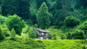 la casa, bosque, verano, hierba, soledad