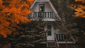 房子，秋天，树木，孤独，舒适