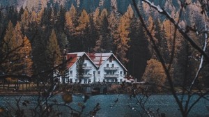 huset, sjön, grenar, höst