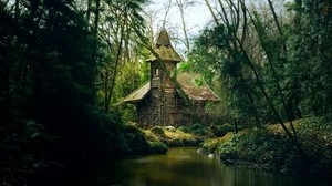house, river, trees, branches, forest, forest - wallpapers, picture