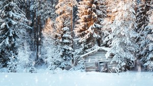the house, snow, trees, winter, snowfall, light
