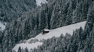 the house, snow, hill, forest, winter, trees, the sky