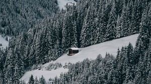 la casa, neve, collina, foresta, inverno, alberi, il cielo