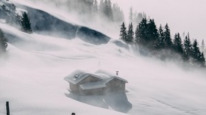 the house, snow, hill, fog, trees