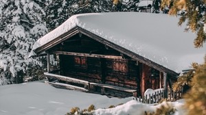 huset, vinter, snö, träd, grenar, komfort